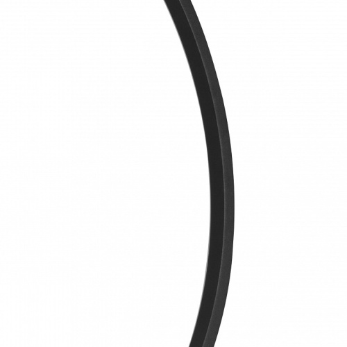 Накладной светильник Lightstar Undine 738567 в Нижнем Новгороде фото 3