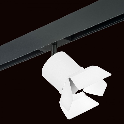 Светильник на штанге Lightstar Rullo PRO3486486 в Нижнем Новгороде фото 4