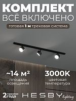 Комплект трековый Hesby Lighting Skylite №13 HSBL_kompl_S013_NI1B3K в Нижнем Новгороде