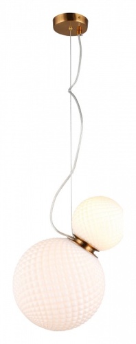 Подвесной светильник Aployt Patunia APL.301.06.02 в Нижнем Новгороде фото 3