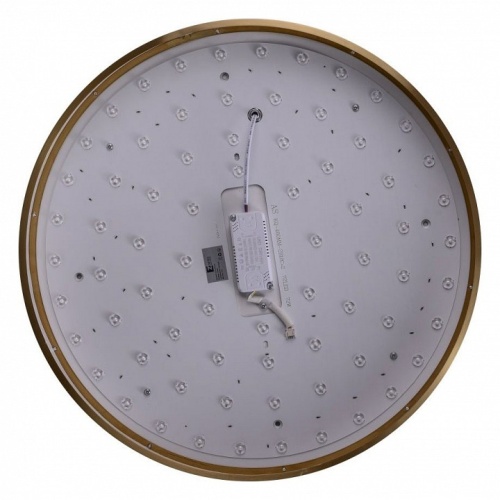 Накладной светильник Zortes Monna ZRS.1209.12 в Нижнем Новгороде фото 10