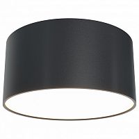 Накладной светильник Maytoni Zon C032CL-L12B3K в Нижнем Новгороде
