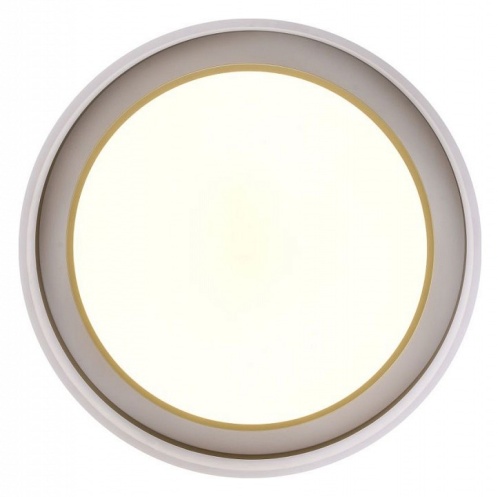 Накладной светильник Zortes Adel ZRS.1200.01 в Нижнем Новгороде фото 13