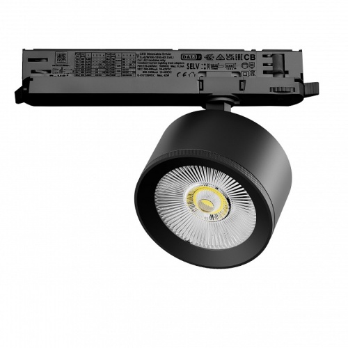 Светильник на штанге Lightstar Alta Pro A5547DALI в Нижнем Новгороде фото 3