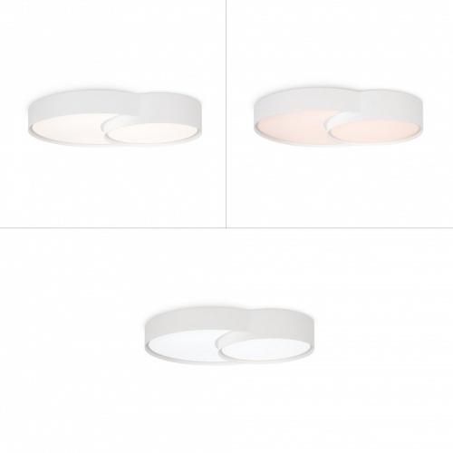 Накладной светильник Freya Items FR6094CL-L72W в Нижнем Новгороде фото 5