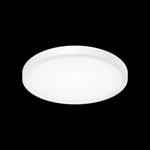 Накладной светильник Citilux Бейсик CL738240V в Белово фото 4