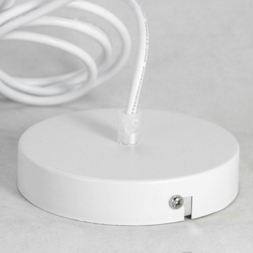 Подвесной светильник Lussole Dove GRLSP-8220 в Нижнем Новгороде фото 4