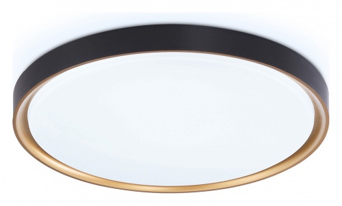 Накладной светильник Ambrella Light FZ FZ1249 в Нижнем Новгороде