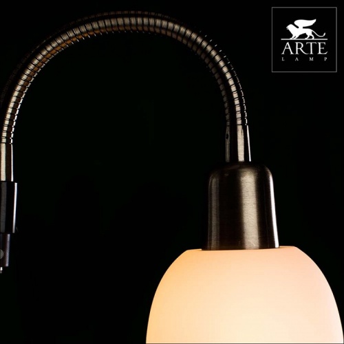 Торшер с подсветкой Arte Lamp Duetto A9569PN-2AB в Петровом Вале фото 4