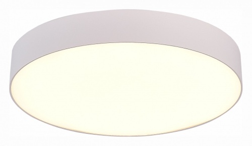 Накладной светильник ST-Luce ST606 ST606.532.48 в Нижнем Новгороде фото 4