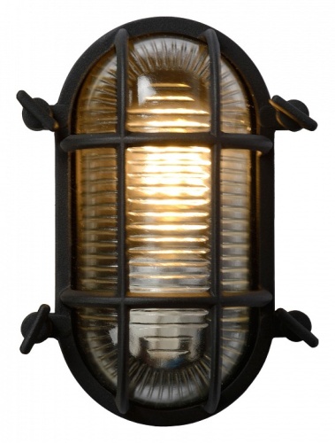 Накладной светильник Lucide Dudley 11891/20/30 в Нижнем Новгороде фото 3