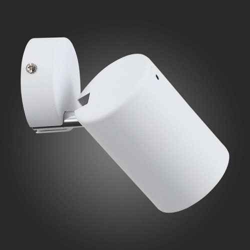 Спот ST-Luce Fanale SL597.501.01 в Нижнем Новгороде фото 2