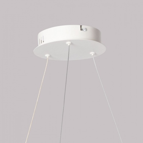 Подвесной светильник DeMarkt Толедо 312014001 в Нижнем Новгороде фото 6