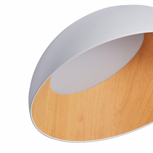 Накладной светильник Zortes Baum ZRS.01201.19 в Нижнем Новгороде фото 3