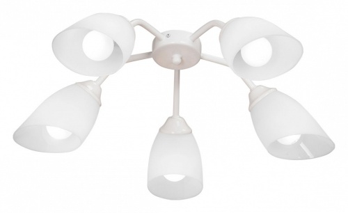 Потолочная люстра Vitaluce V31950 V31950/5PL в Нижнем Новгороде