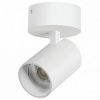 Спот Lightstar Alta Base A5336SO в Нижнем Новгороде