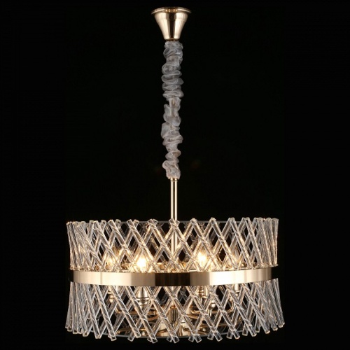 Подвесной светильник Aployt Toinet APL.734.06.06 в Нижнем Новгороде фото 3