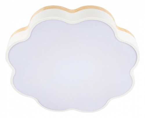 Накладной светильник Loft it Axel 10225/36 White в Нижнем Новгороде фото 3