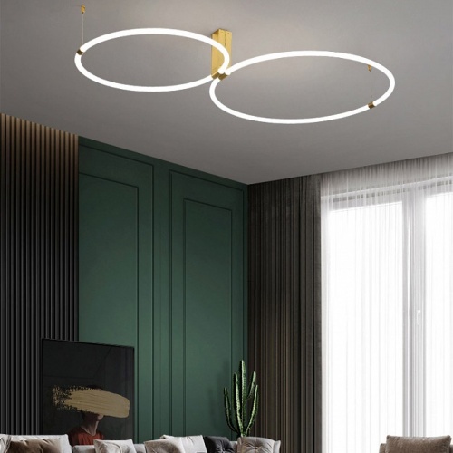 Накладной светильник Imperiumloft Ringmor01 207983-23 в Нижнем Новгороде фото 3