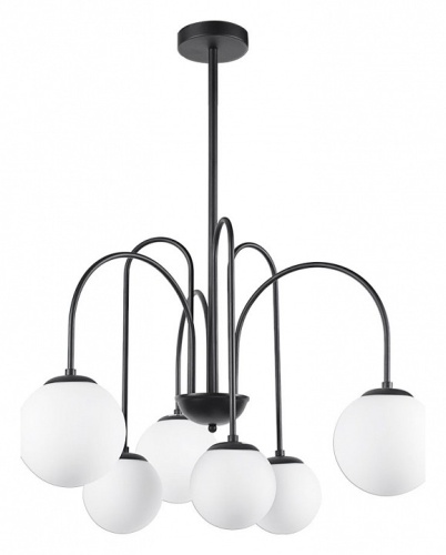 Люстра на штанге Arte Lamp Mebsuta A1675LM-6BK в Сычевке