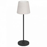 Настольная лампа декоративная Eglo LEONERO 75937 в Нижнем Новгороде