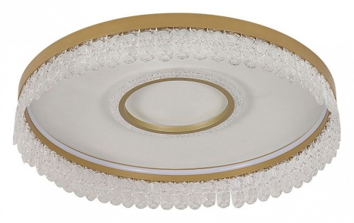 Накладной светильник F-promo Lunetta 4186-2C в Нижнем Новгороде