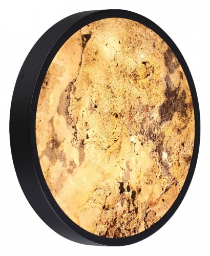 Накладной светильник Odeon Light Bergi 5064/30L в Нижнем Новгороде фото 5