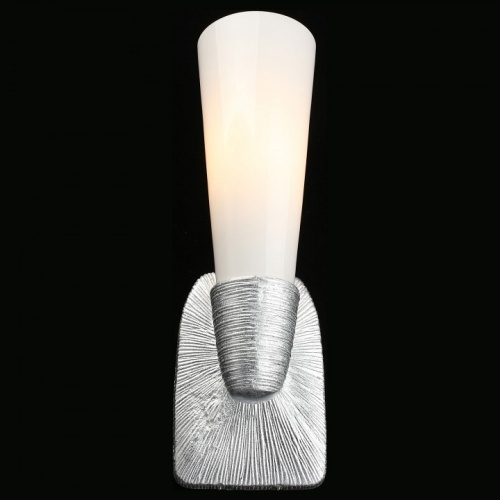 Бра Aployt Hloya APL.800.11.01 в Нижнем Новгороде фото 9