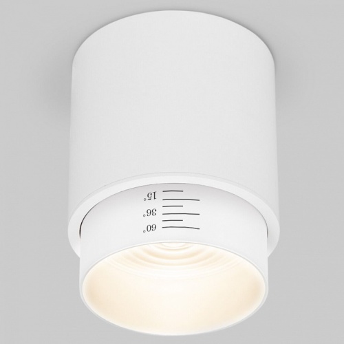 Накладной светильник Elektrostandard Cors a062385 в Нижнем Новгороде