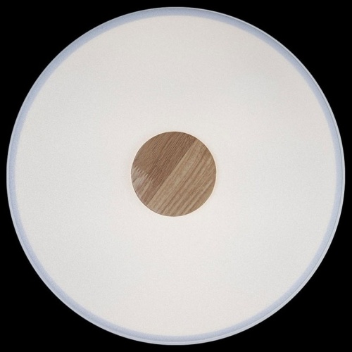 Накладной светильник Loft it Axel 2 10003/24 White в Нижнем Новгороде фото 2