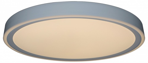 Накладной светильник Zortes Bella ZRS.1200.09 в Нижнем Новгороде фото 5