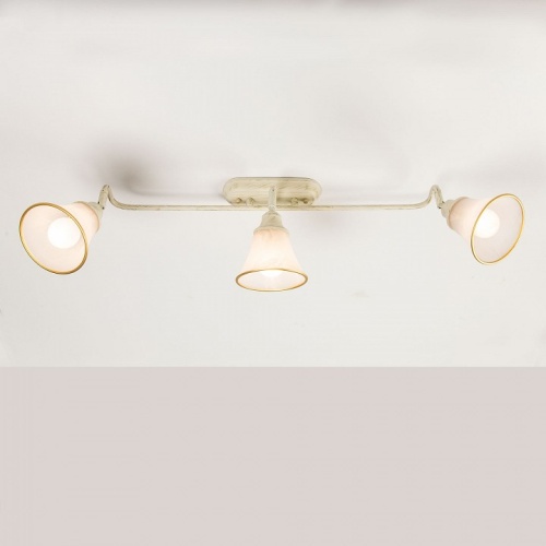 Спот Citilux Прованс CL511534 в Нижнем Новгороде фото 4