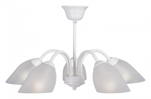 Люстра на штанге Vitaluce V3336 V3336-0/5PL в Нижнем Новгороде фото 2