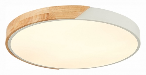 Накладной светильник EVOLUCE Festa SLE200952-01 в Нижнем Новгороде фото 5