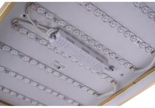 Накладной светильник Zortes Monna ZRS.1209.09 в Нижнем Новгороде фото 9