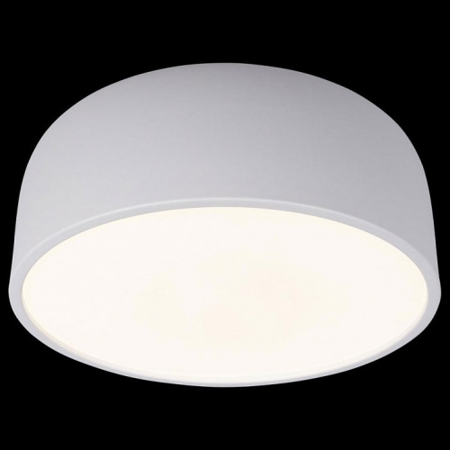 Накладной светильник Loft it Axel 10201/350 White в Нижнем Новгороде фото 2