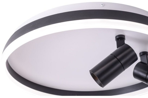 Накладной светильник Zortes Raizy ZRS.1888.01 в Нижнем Новгороде фото 3