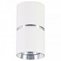 Накладной светильник Ambrella Light TN TN213115 в Нижнем Новгороде