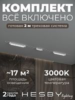 Комплект трековый Hesby Lighting Skylite №10 HSBL_kompl_S010_VI2W3K в Нижнем Новгороде