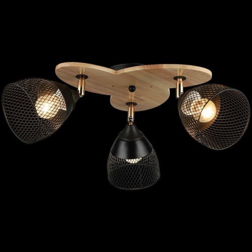 Потолочная люстра 04722-0.3-03 в Нижнем Новгороде фото 5