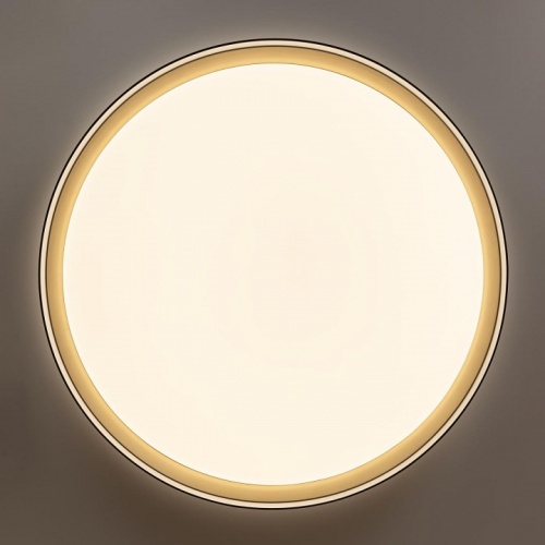 Накладной светильник Citilux BOSS CL751451G в Тюмени фото 13