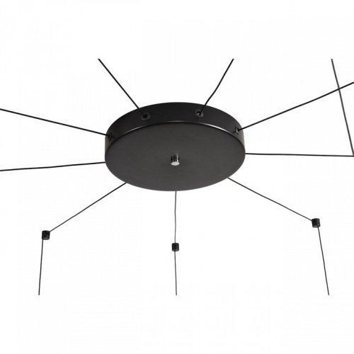 Подвесная люстра Lumion LEDIO 8400/27L в Нижнем Новгороде фото 3