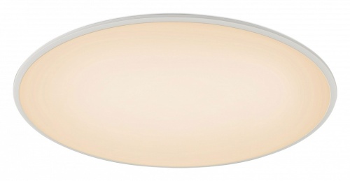 Накладной светильник Mantra Slim 7978 в Нижнем Новгороде