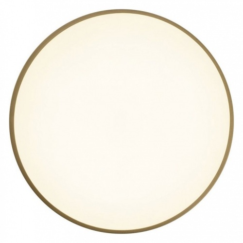 Накладной светильник Zortes Gabby ZRS.90610.40 в Нижнем Новгороде фото 6