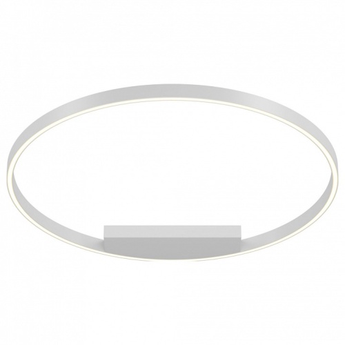 Накладной светильник Maytoni Rim MOD058CL-L50W4K в Нижнем Новгороде