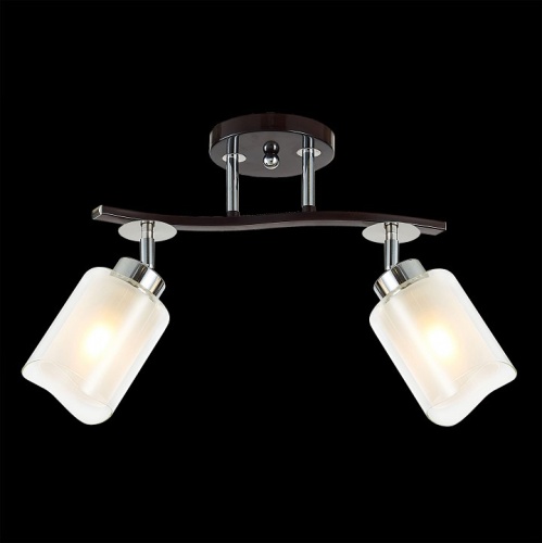 Спот Citilux Фортуна CL156122 в Нижнем Новгороде фото 2