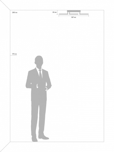 Потолочная люстра Freya Bodge FR10017CL-L92W в Нижнем Новгороде фото 7
