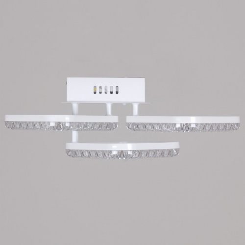 Потолочная люстра 29848-0.3-03B WH в Нижнем Новгороде фото 5