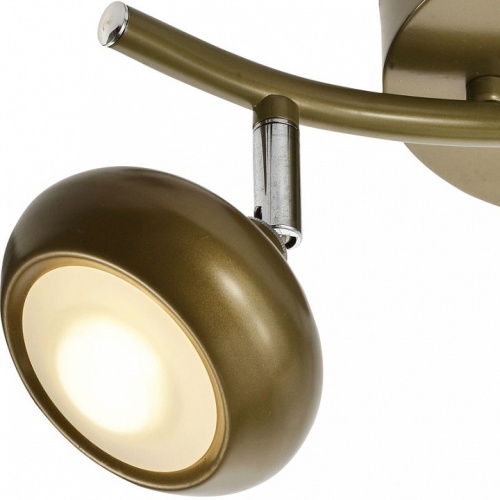 Спот TopLight Carissa TL1244Y-02SG в Нижнем Новгороде фото 3