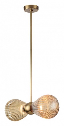 Подвесной светильник Odeon Light Elica 5402/2 в Нижнем Новгороде фото 4